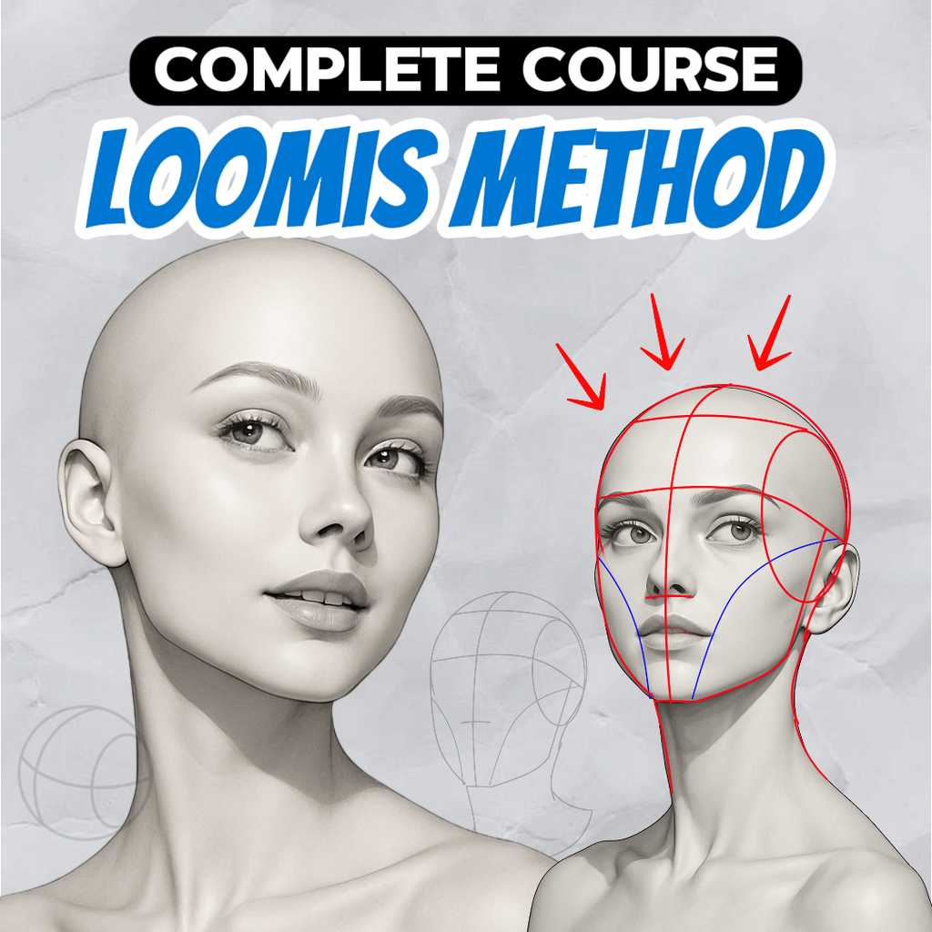 Complete Loomis Method Face Drawing Course – From Zero to Mastery