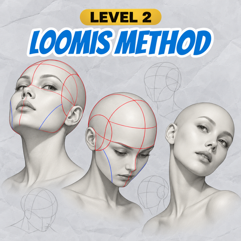 Loomis Method Level 2: heads looking up, looking down and tilted, with the Loomis construction lines